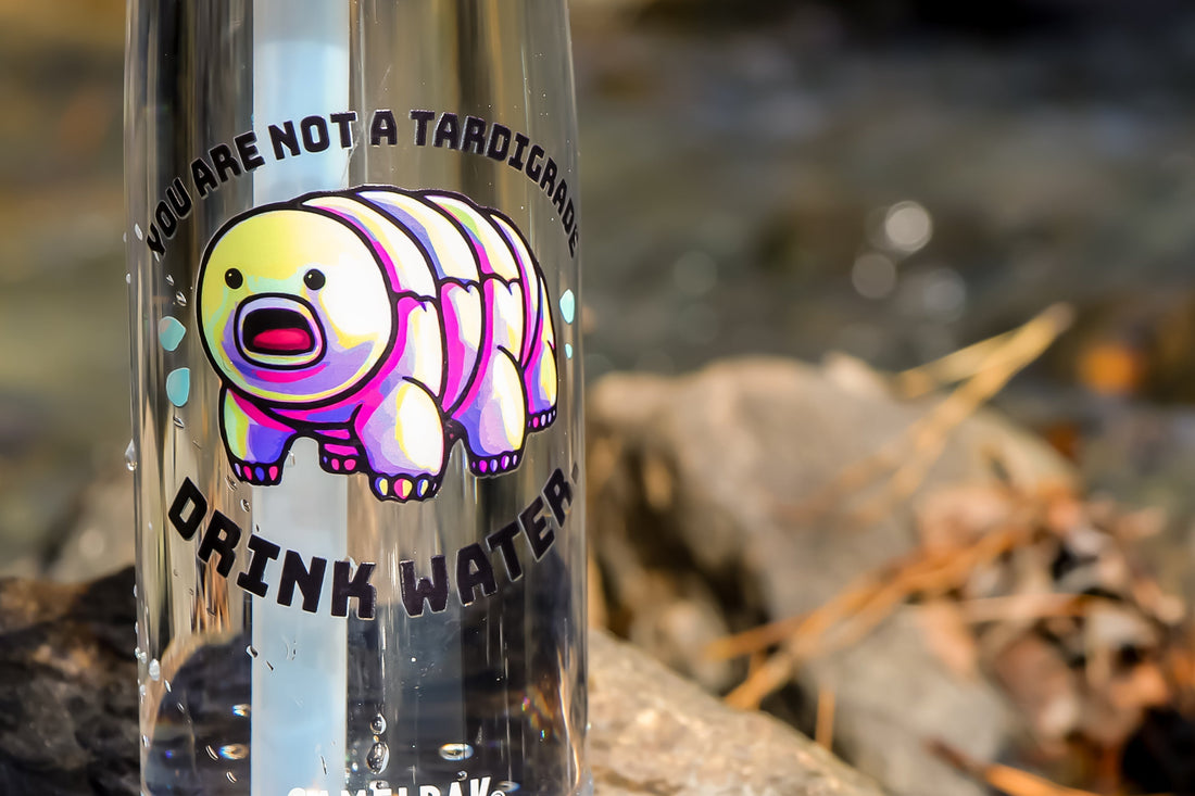 Where did we come from?