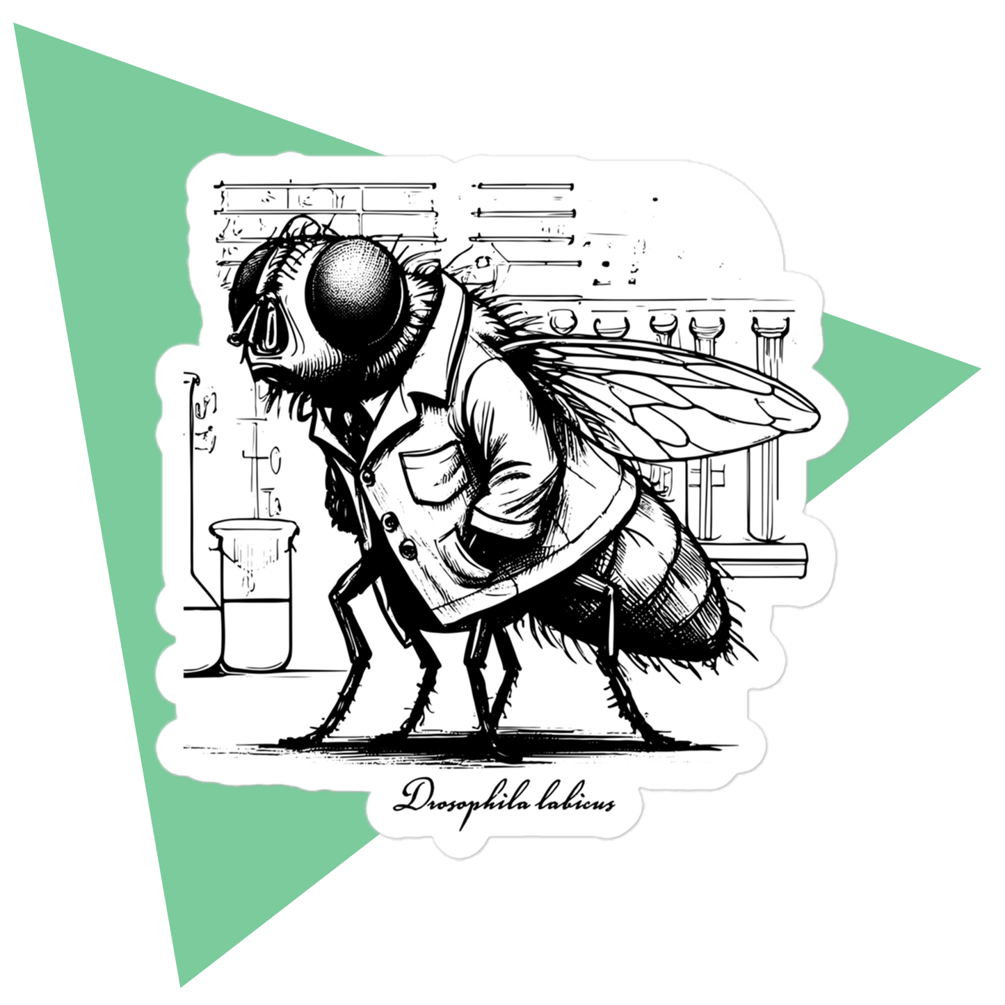 Scientist Fruit Fly (Drosophila labicus) | Stickers